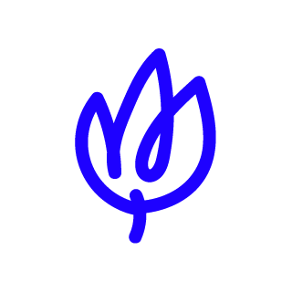 bloom-picto